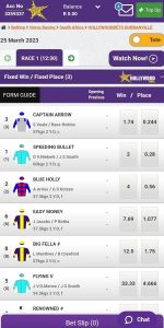 Hollywoodbets Horse Racing Betting 2