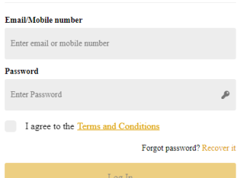 Kingbets Login | New Account Access Guide In 2024